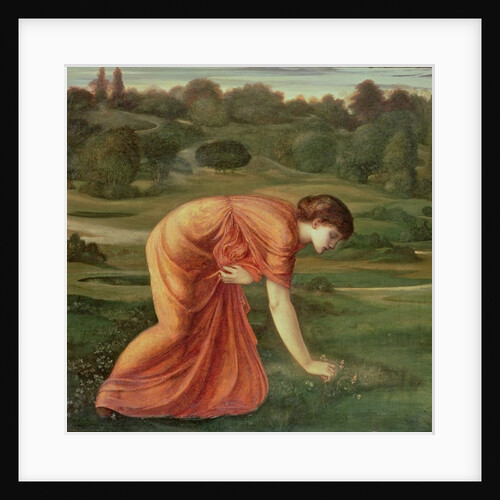 The March Marigold, c.1870 by Edward Coley Burne-Jones