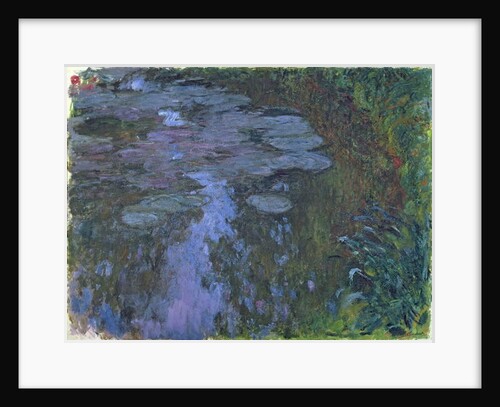 Nympheas by Claude Monet