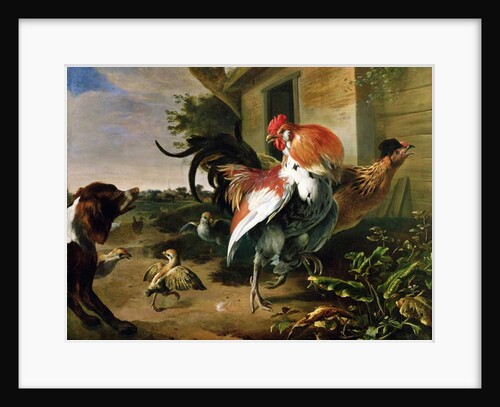 Poultry and Spaniel in a farmyard by Melchior de Hondecoeter