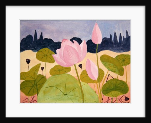 Lotus in the Garrigue, 1984 by Marie Hugo