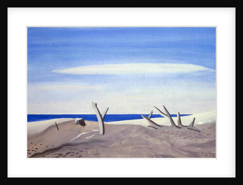 Bois Flottes du Grand Radeau, 1987 by Marie Hugo