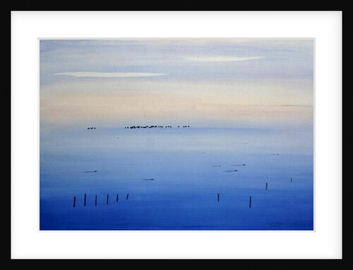 Le Vaccares, 1987 by Marie Hugo