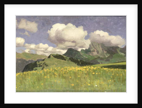 A Field of Marigolds, Lower Alps, 1902 by Adrian Scott Stokes