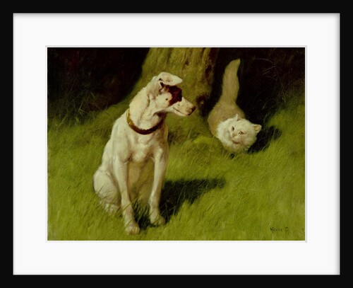 White Persian Cat and Jack Russell by Arthur Heyer