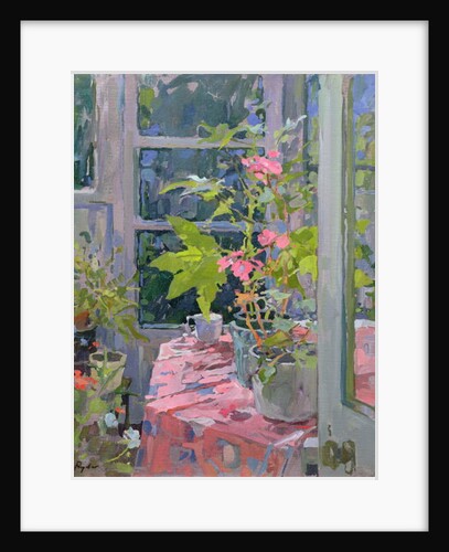 Geraniums and Pink Cloth by Susan Ryder