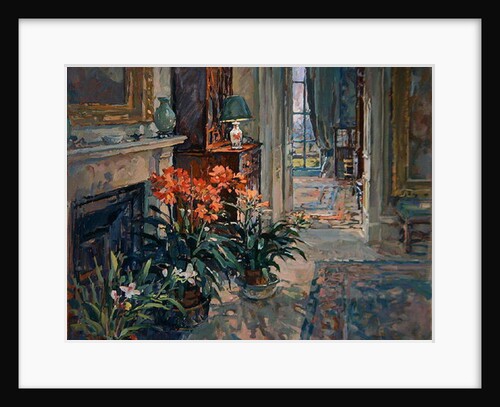 Clivia and Orchid by Susan Ryder