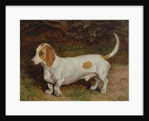 My Favourite Dachshund, 1885 by Frank Paton