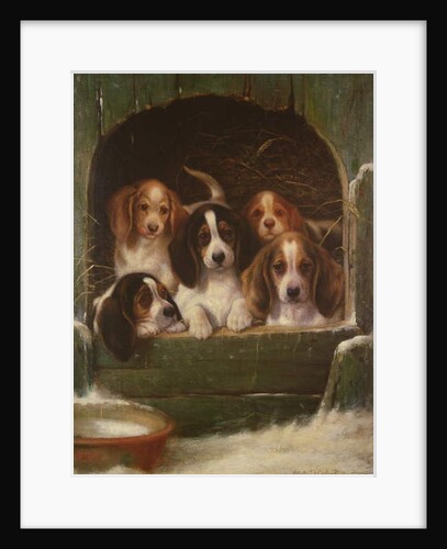 As snug as a bug in a rug by Valentine Thomas Garland