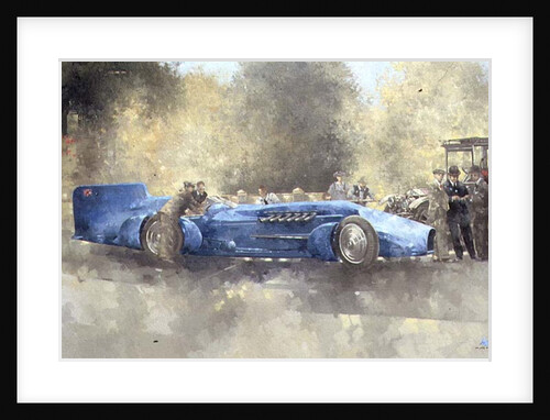 Bluebird and Ghost, 1993 by Peter Miller