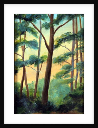 The Light in the Woods by Marisa Leon