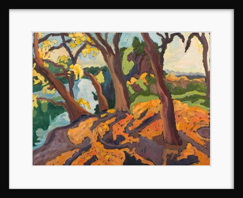 Ageing trees, 2009 by Marta Martonfi-Benke