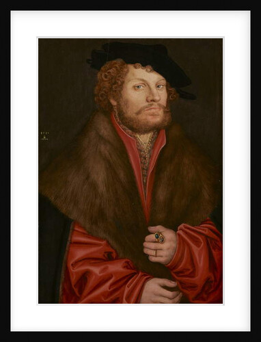 Portrait of Moritz Buchner, c.1520 by Lucas the Elder Cranach