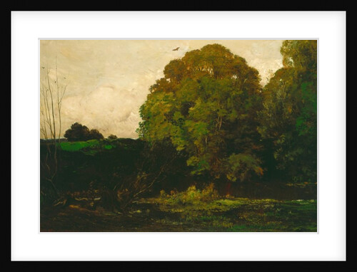 A Pond in the Morvan, 1869 by Charles Francois Daubigny