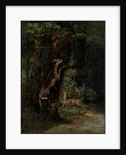 Deer in the Forest, 1868 by Gustave Courbet