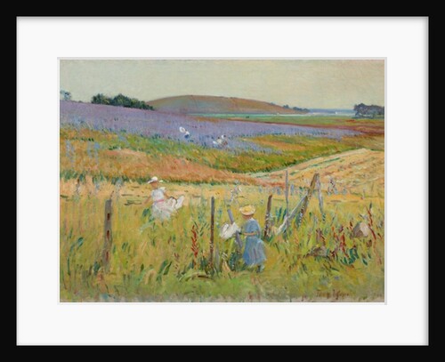 The Butterfly Catchers, 1900-8 by Theodore Wendel