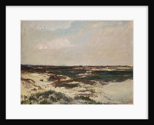 The Dunes at Camiers, 1871 by Charles Francois Daubigny