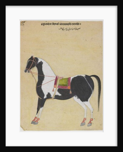 The Stallion Jukaldan Ayragi, c.1730 by Bhavani Das