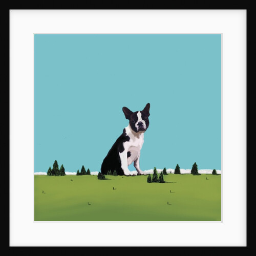 Boston Terrier, 2008 by Marjorie Weiss