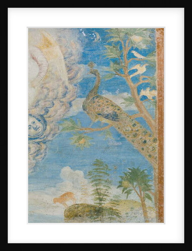 Peacock, detail of 3496206 by Italian School