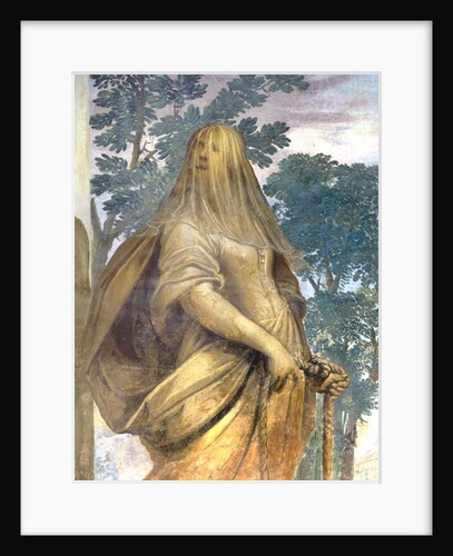 Reason, Corridor of the Virtues by Antonio Busca