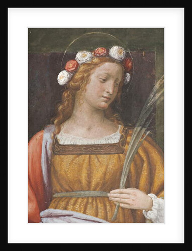 Saint Rose by Bernardino Luini