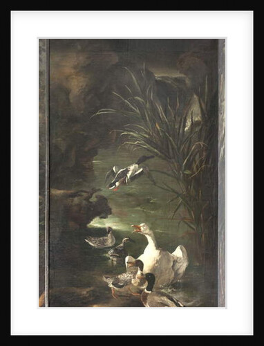 Myth of Orpheus: swan and ducks, c.1650-60 by Italian School