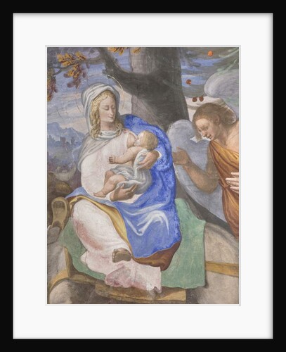 Scenes from the Virgin Mary's life by Michelangelo Carminati