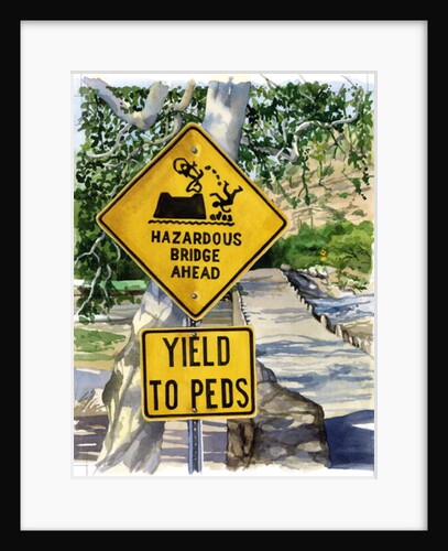 Sabino Canyon, 2004 by Lucy Masterman