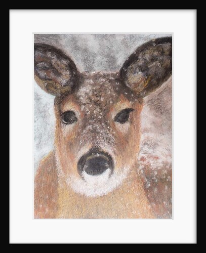 Young Deer in Winter, 2017 by Margo Starkey