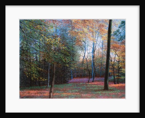 Autumn in the Woods, 1999 by Margo Starkey