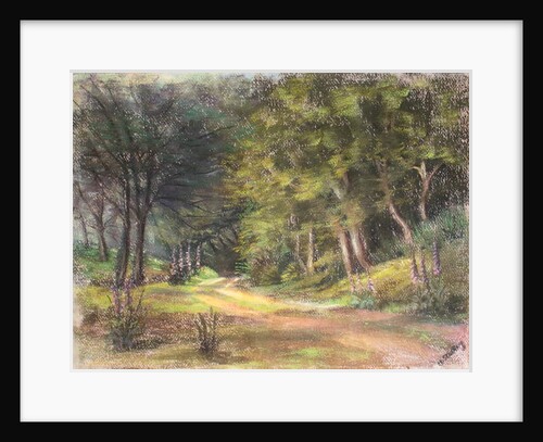 Walk in the Woods, Somerset, 1995 by Margo Starkey