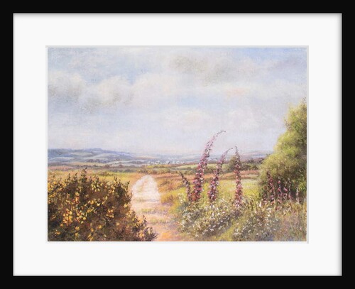 Foxgloves on Dartmoor, 2000 by Margo Starkey