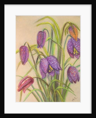 Bunch of Fritillaria, 2015 by Margo Starkey