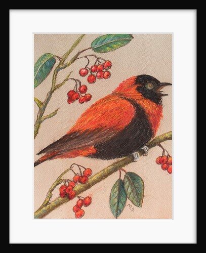 Hungry bird, 2017 by Margo Starkey