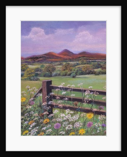 Summertime in the country by Margo Starkey