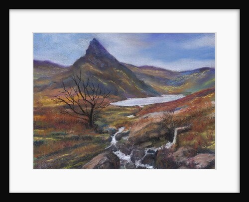 The Lake district by Margo Starkey