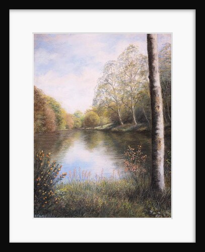 River Dart Devon by Margo Starkey