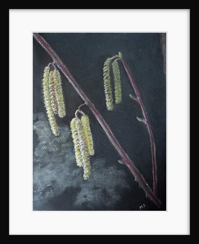 Catkins by Margo Starkey