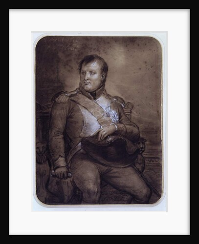 Napoleon I at Saint-Cloud, 1812 by Anne Louis Girodet de Roucy-Trioson