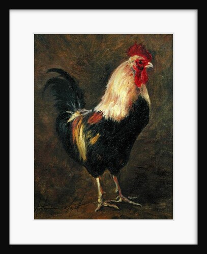 The Cockerel, 1999 by Antonia Myatt