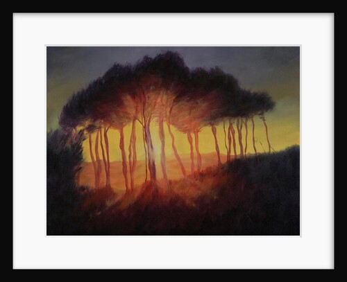 Wild Trees at Sunset, 2002 by Antonia Myatt