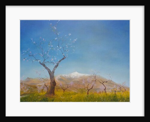 Almond Blossom with Snow Capped Sierra Nevada Mountain, 2016 by Antonia Myatt