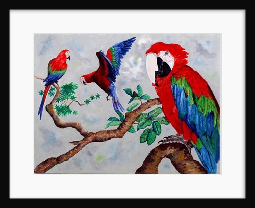 Macaws, 2006 by Maylee Christie
