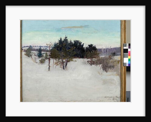Winter Landscape, 1902 by Abbott Handerson Thayer