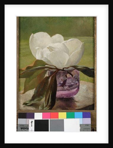Magnolia Blossom by John La Farge or Lafarge