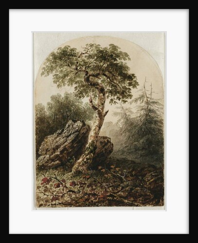 Landscape with Birch Tree, 1859 by Owen G. Hanks