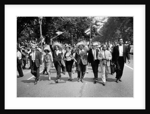 The March on Washington: Marchers Wearing Hats Carry Puerto Rican Flags Down Constitution Avenue, 29th August 1963 by Nat Herz