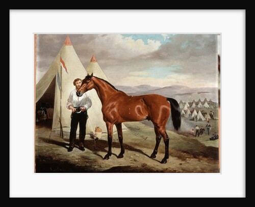 Sir Briggs, horse of Lord Tredegar of the 17th Lancers, in Camp in Crimea 1854, 1856 by Alfred de Prades
