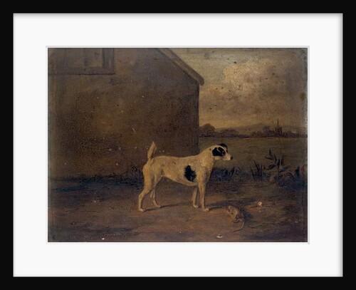 Waterloo Spot, 1816 by William Henry Davis