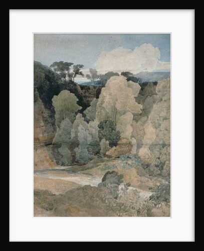 Devil's Elbow, Rokeby Park, c.1806-7 by John Sell Cotman